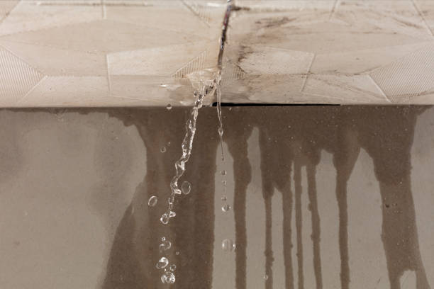Professional Water Damage Repair technician working in Port Sanilac, MI